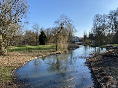 Güneşli bir günde açık mavi gökyüzü ile bir nehre yansıyan güzel söğüt ağacı.