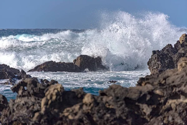 Portugal Azores Corvo Atlantic Ocean — стокове фото