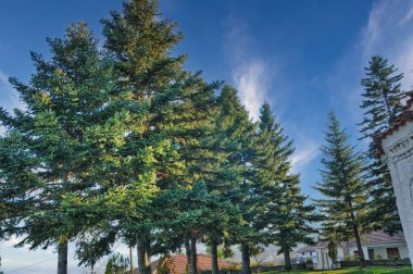Yunanistan 'ın Mora bölgesindeki Trikala Korinthias, kışın ünlü bir seyahat merkezidir.