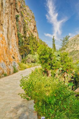 Nafplio kasabasında deniz ve ağaçlarla dolu bir manzara, tatil için ideal.