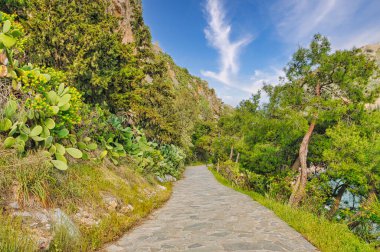 Yunanistan 'ın Nafplio şehrinde deniz kıyısında kayalık bir uçurum ve mavi bir gökyüzü var.