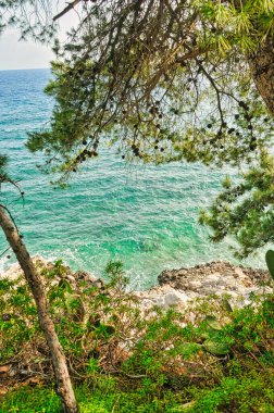 Nafplio kasabasında deniz ve ağaçlarla dolu bir manzara, tatil için ideal.