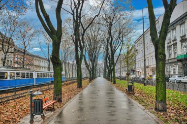 Polonya 'nın tarihi Krakow kenti, sonbaharın başlarında bir parka sahiptir.