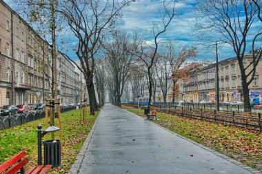 Polonya 'nın tarihi Krakow kenti, sonbaharın başlarında bir parka sahiptir.