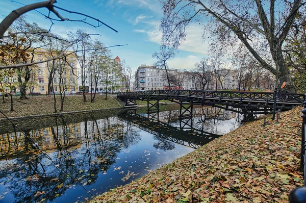 Belle Ville Wroclaw Pologne Avec Une Rivière Des Arbres — Photo
