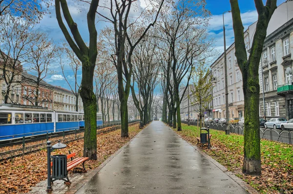 Ville Historique Cracovie Pologne Avec Parc Début Automne — Photo