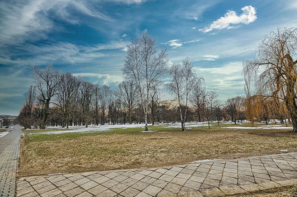 Parc Jardin Varsovie Pologne Avec Neige Pendant Hiver — Photo