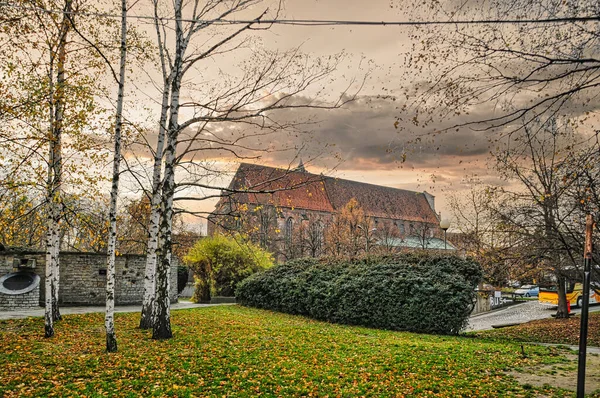 Belle Ville Wroclaw Pologne Avec Ses Bâtiments Historiques Cathédrale — Photo
