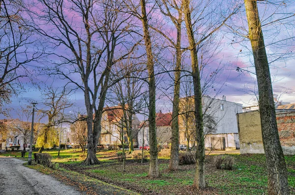 Mała Miejscowość Polsce Pięknymi Parkami — Zdjęcie stockowe