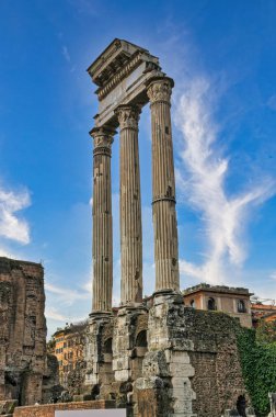 Roma forumu veya Roma Forumu, arkeoloji sahası, İtalya