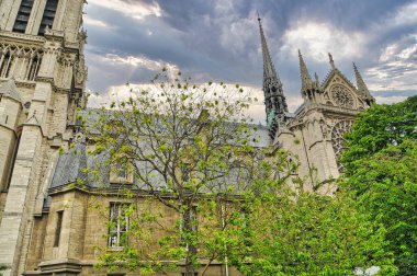 Katedral Notre Lady, Fransa 'nın ünlü şehri, tarihle dolu ve muhteşem eğlence ve eserlerle dolu.