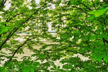 Fransa 'nın ünlü şehri Paris, tarihle dolu ve muhteşem eğlence ve anıtlarla dolu.