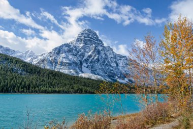 Chephren Dağı. Sonbahar renkleri, turkuaz sular ve Banff Ulusal Parkı 'ndaki Waterfowl Gölü' nde güneşli bir öğleden sonra karla kaplı tepeler.