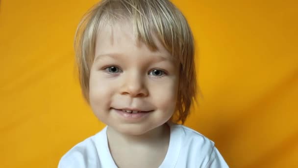 Kafasında Tavşan Kulağı Olan Küçük Sevimli Çocuk Sarı Stüdyo Arka — Stok video