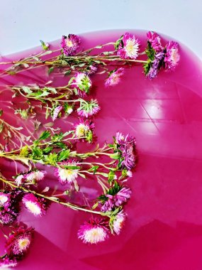 Kırmızı morla banyo. Kasımpatı çiçekli peri suyu. Su yüzeyinde kasımpatı çiçeği, dalgalanmalar ve güneş ışığı yansımalarıyla. Güzellik spa 'sı, rahatlama ya da sağlık tedavisi