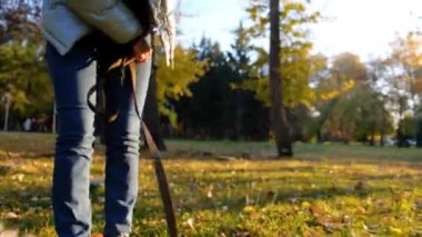 Gülümseyen kız Galli Corgi Pembroke köpeğiyle oynuyor, gülümse ve mutlu ol. Parkta sopayla oynayan sevimli bir köpek.