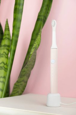 Yeni modern ultrasonik diş fırçaları. Pembe pastel arka planda yeşil yapraklı diş bakımı malzemeleri. Ağız temizliği, sakız sağlığı, sağlıklı dişler. Diş ürünleri Ultrasonik titreşim diş fırçası.