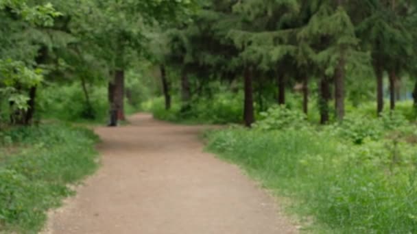 Correr Hombre Guapo Estilo Vida Saludable Corredor Parque Verde Mañana — Vídeos de Stock