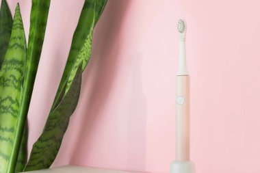 Yeni modern ultrasonik diş fırçaları. Pembe pastel arka planda yeşil yapraklı diş bakımı malzemeleri. Ağız temizliği, sakız sağlığı, sağlıklı dişler. Diş ürünleri Ultrasonik titreşim diş fırçası