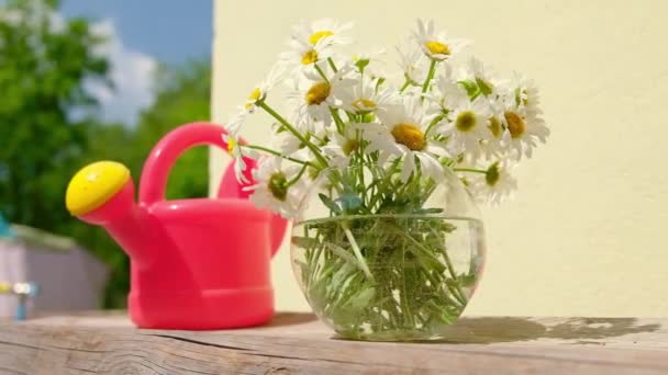 Kleurrijk Boeket Van Madeliefje Zomerbloemen Rond Glas Met Rode Vaas — Stockvideo