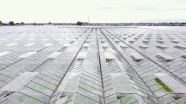 Aerial view greenhouse plantation with greenery. Glasshouse Farmland. Concept for industrial agriculture. Global business. Large Greenhouse Building. Eco farming business.