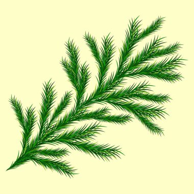  Vektör ladin dalı. Dekorasyon elementi 