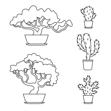 Saksıda bitkiler. Bonsai. Kaktüs. Taslak çizim. Vektör