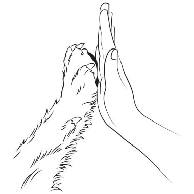 İnsan eli ve köpek pençesi. Arkadaşlık.