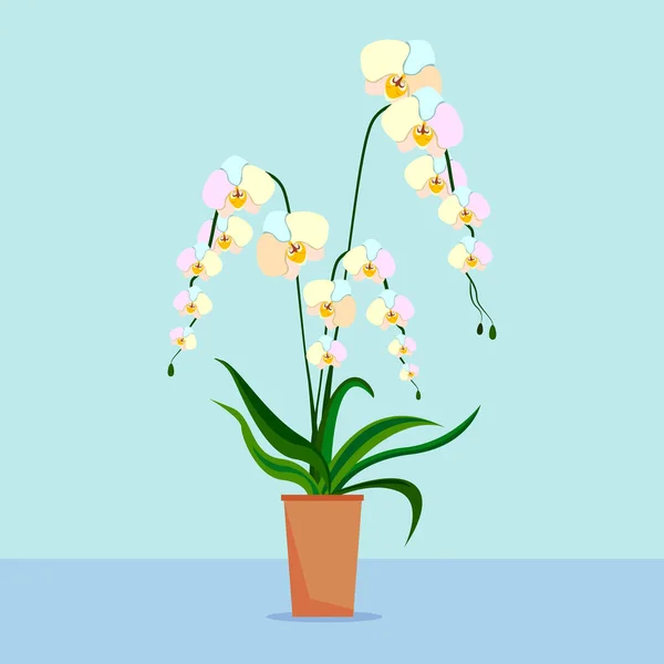 Witte Orchidee Home Bloeiende Plant — Stockvector
