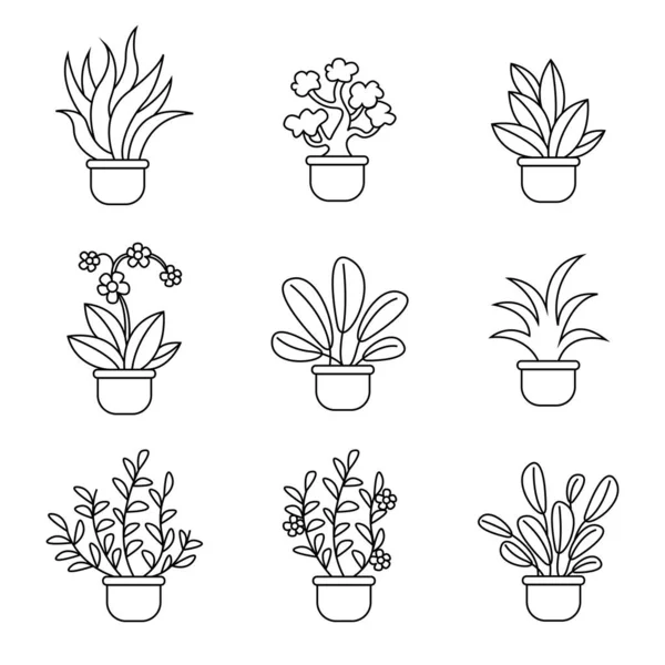 Saksıda bitkiler. Aloe. Bonsai. Orkide. Kapalı alan çiçekleri. Taslak çizim. Vektör 