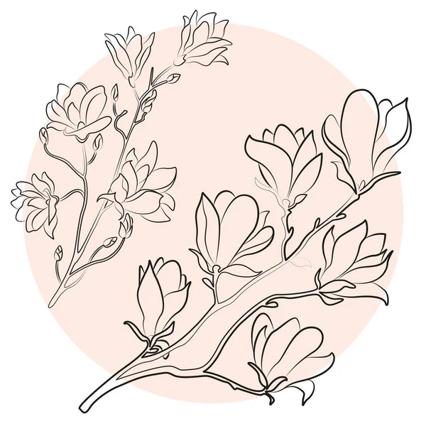Magnoliové Květiny Obrysová Kresba Větev Rostlin — Stockový vektor