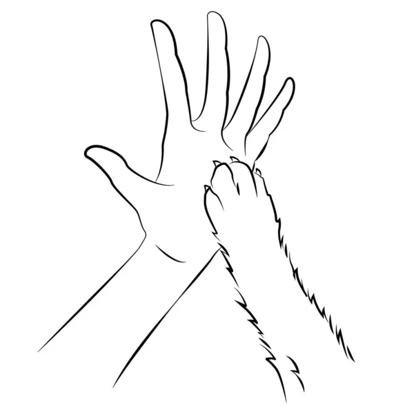 Kéz Macska Mancsa Barátság Tetoválásra Használható — Stock Vector