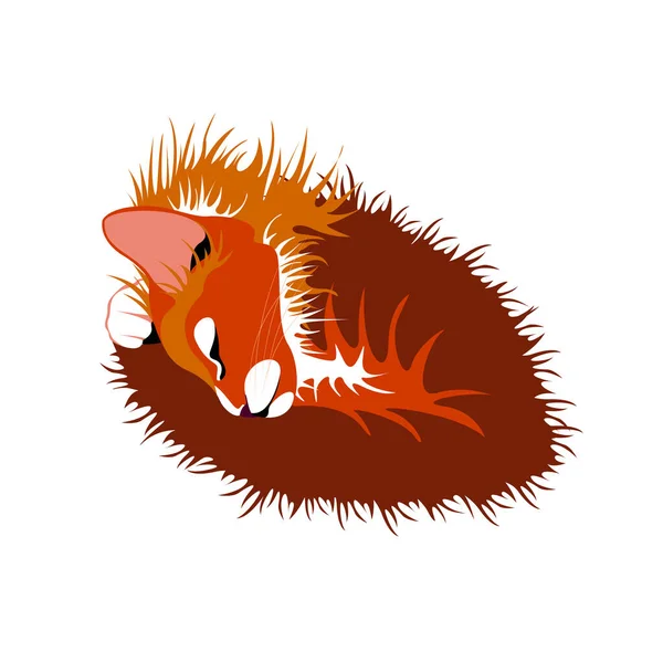Спящая Рыжая Кошка Домашнее Животное Комфорт — стоковый вектор