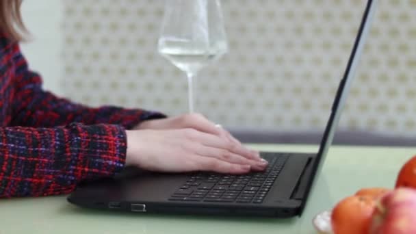 Bekerja Pada Laptop Pengusaha Wanita — Stok Video