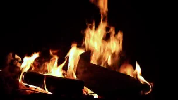 Lagerfeuer Der Nacht Helle Flamme — Stockvideo