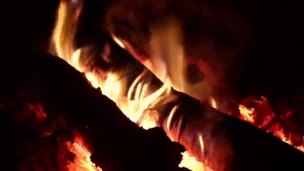 Płomień Ognia Nocy — Wideo stockowe