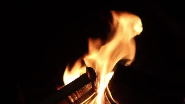 Płomień Ognia Nocy — Wideo stockowe