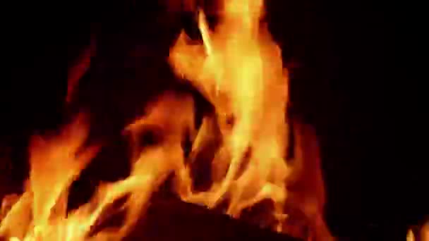 夜の炎 — ストック動画