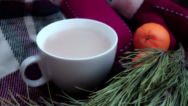 舒适的冬季气氛 一杯咖啡 冬天的手套和松枝 — 图库视频影像