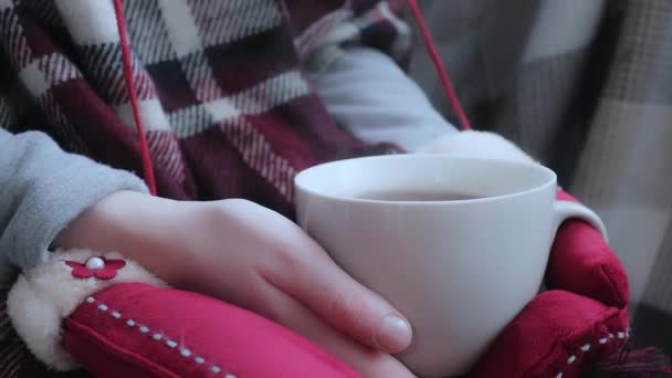 Warm Cup Tea Winter — Stock Video