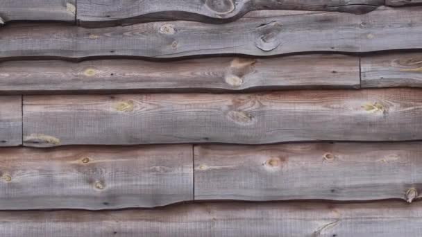 Textur Eines Holzzaunes Aufsichtsräte — Stockvideo