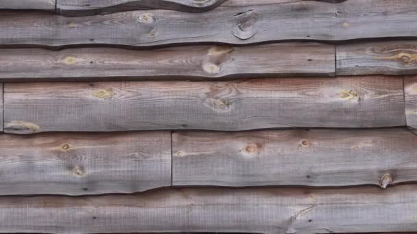 Texture Una Recinzione Legno Tavole — Video Stock