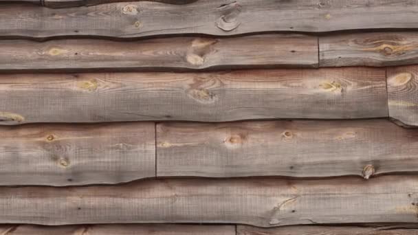 Textur Eines Holzzaunes Aufsichtsräte — Stockvideo