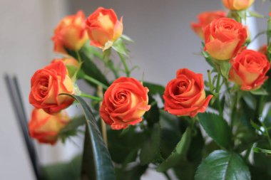 Pembe sprey gül buketi