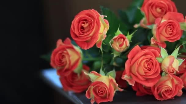 Rosas Arbustivas Sobre Mesa — Vídeos de Stock