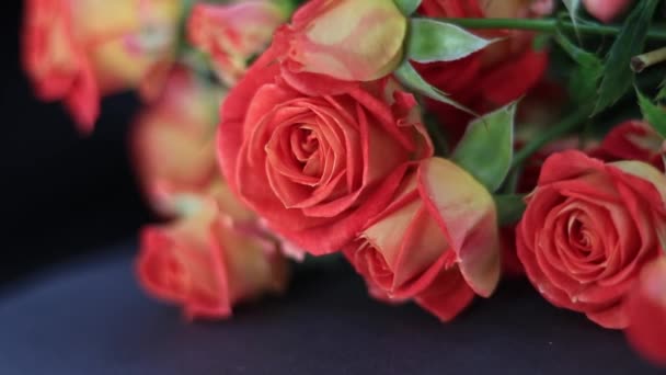 Кустарниковые Розы Столе — стоковое видео