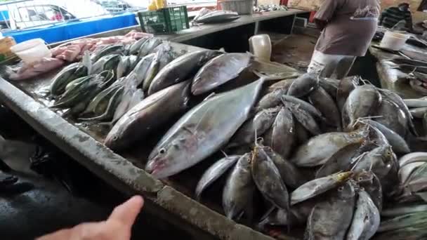 Fischmarkt Verkauf Von Frischen Meeresfrüchten — Stockvideo