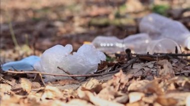 Doğayı önemsiyorum. Gönüllü çöp torbasında çöp topluyor. Çöpsüz gezegen konsepti