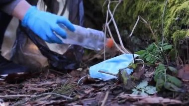 Ormanda çöp toplama. Gönüllü program 
