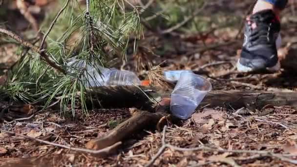 自然が気になる ボランティアはゴミ袋にゴミを集めます ゴミのない惑星の概念 — ストック動画